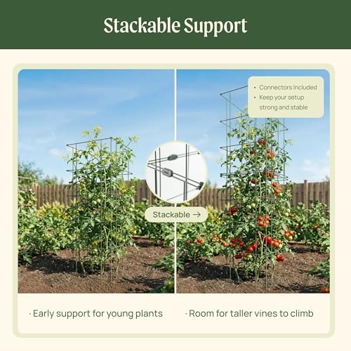 Vego Garden 4 Pack 11.5" Square Tomato Cage for Garden & Pots, Rust-Resistant Tomato Stakes Heavy Gauge Plant Cage Trellis Support for Climbing Vegetables Plants - Image 6