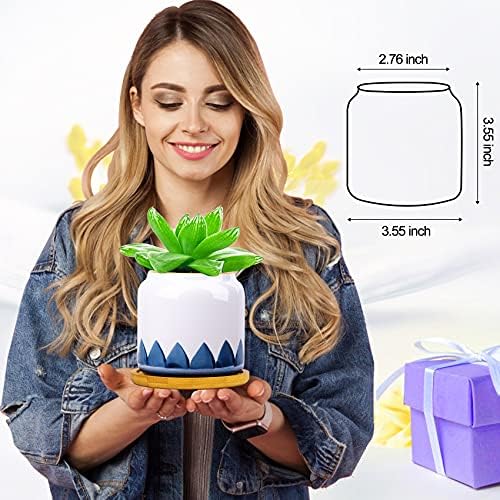 Succulent Pots, 3.5 Inch Small Succulent Planters with Drainage for Plants Live, Hand-Painted Ceramic Pot Flower Pots Bonsai Pots with Bamboo Tray, Unique Gifts for Women/Men, 4 Pack (Abstract) - Image 7