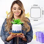 Succulent Pots, 3.5 Inch Small Succulent Planters with Drainage for Plants Live, Hand-Painted Ceramic Pot Flower Pots Bonsai Pots with Bamboo Tray, Unique Gifts for Women/Men, 4 Pack (Abstract) - Image 7