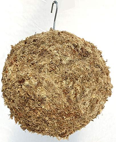 Sphagnum Moss Living Kokedama Ball, Sphere, Hanging Form - 8" Diameter - Made in USA by Topiary+Art+Works