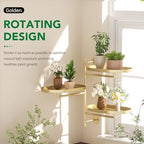 Window Plant Shelf, Wall Mounted Rotating Plant Holder Indoor - Image 2