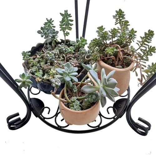 CASIMR 2-Pack Plant Stand, 2 Tier 26.8 inch Tall Metal Potted Holder Rack,Indoor Outdoor Multiple Flower Pot Shelf Rustproof Iron Garden Container for Garden Patio Living Room Corner Balcony, Black - Image 6