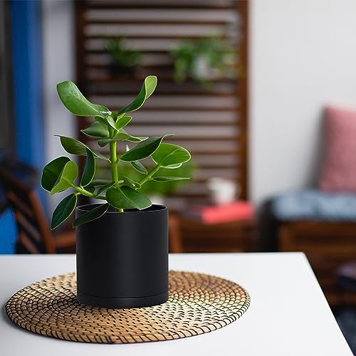 D'vine Dev 4-Pack Black Plastic Planters with Saucers, 5 in, 74-Y-G-2 - Image 3