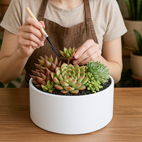 D'vine Dev 10 in Shallow Round Succulent Planter, White, 76-Z-A-2 - Image 3