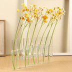 Veemoon Hydroponic Glass Tube Vase Set 8pcs 15cm Height 2.5cm Diameter Flower Arranging Container for Home Décor and Plant Propagation - Image 4
