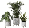 EverNest Tristan Neutral Minimal White and Black Modern Style Planter with Nyra Stand, SelectBase Plant Pots, Indoor Planter, Boho Home Decor, Minimalist Pot for Plants (Set of 3, Gold) by EverNest