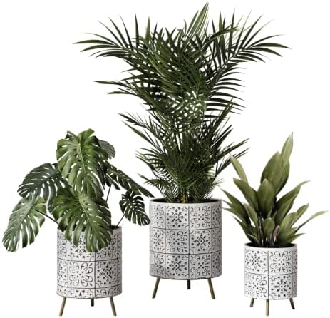EverNest Tristan Neutral Minimal White and Black Modern Style Planter with Nyra Stand, SelectBase Plant Pots, Indoor Planter, Boho Home Decor, Minimalist Pot for Plants (Set of 3, Gold) by EverNest