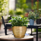 Ceramicfor Indoor Plant Pot 6 Inch - Ceramic Pot for Plants Outdoor Planter with Drainage Hole and Saucer Round Decorative Planter Modern Flower Pot for Home Decor Gold - Image 4