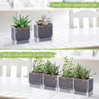 D'vine Dev 4-Pack Acrylic Herb Planter Pots, 4 in, Clear, 76-Y-D-1 - Image 4