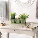 DII Ceramic Planter Collection Herb Pot Set, Green Square, 12x4x4 - Image 4