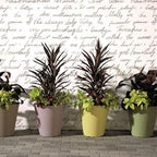 Crescent Garden Madison Planter– Weather-Resistant, Double Walled Indoor/Outdoor Plant Pot with Drain Hole – Durable All-Season Plastic Flower Container, 16" W (Terracotta-Colored) - Image 5