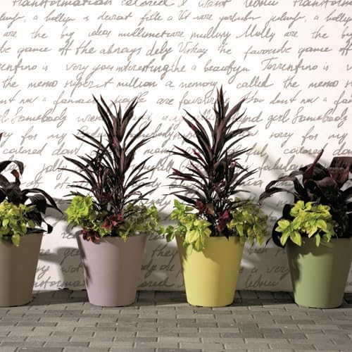 Crescent Garden Madison Planter– Weather-Resistant, Double Walled Indoor/Outdoor Plant Pot with Drain Hole – Durable All-Season Plastic Flower Container, 16" W (Terracotta-Colored) - Image 5