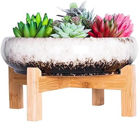 ARTKETTY Succulent Pots with Drainage, 10 Inch Large Bonsai Pots with Stand by ARTKETTY