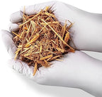 Gardenera Eucalyptus Mulch - Create a Beautiful and Eco-Conscious Garden with Organic Mulching - 20 QUARTS - Image 2