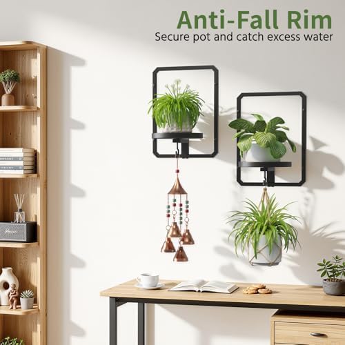 LASZOLA Plant Picture Frame Holder Shelf Wall Window Indoor, 3 Pcs Black - Image 6