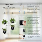 Modern Metal Hanging Planter for Indoor Outdoor Plants with Hook 2 Tier Boho Wall and Ceiling Flower Pots Baskets Holder Home Office Decor(Black) - Image 5