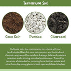Soil Sunrise Terrarium Potting Soil Mix (8 Quarts) w/Blended Filtering Charcoal Custom Made for Terrariums - Image 5