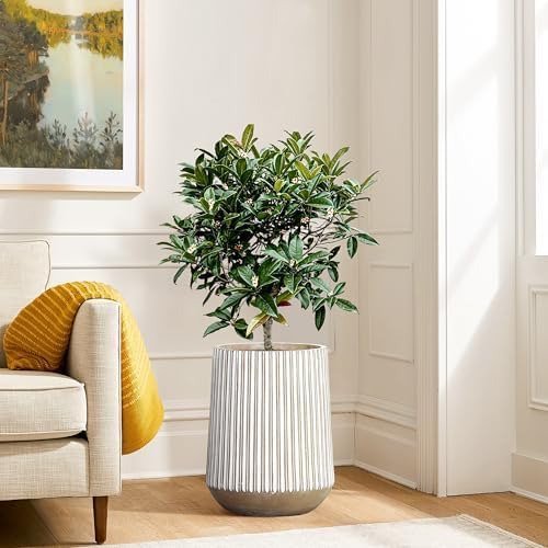 LuxenHome 16.1" H Concrete Tall Planter, Large Outdoor Indoor Plant Pot - Image 4