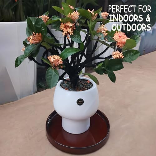 Ceramic Plant Saucer 12 Inch, Round Plant Trays for Indoors/Outdoors, Flower Pot Saucers for Holding Water Drips and Soil, Ceramic Drainage Tray for Plant Pot (Reactive Glaze Brown) - Image 2