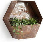 Topadorn Rustic Metal Wall Planter, 12 Inch Hexagon Hanging Planter by Topadorn