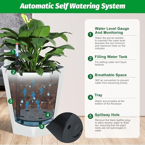 16" Self Watering Planters, Self Watering Pots for Indoor Plants - Image 7