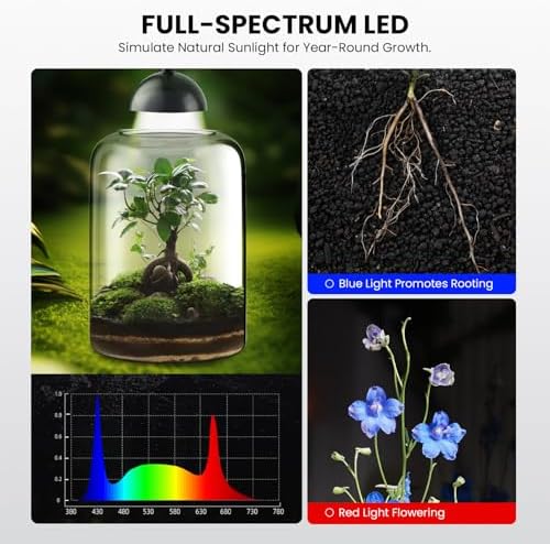 Glass Plant Terrarium, LED Grow Light, Adjustable Ventilation - Image 6