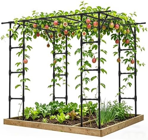 Grape Vine Trellis,Heavy Duty Metal Plant Support Trellis-96L*62W*79H in by TrellumeGardenHome
