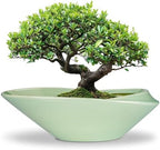 Ceramic Bonsai Pot - 18 Inch Planter with Drainage Hole Large Modern Bonsai Planter Decorative Succulent Flower Plant Pot for Indoor Plants Outdoor Green by EPFamily