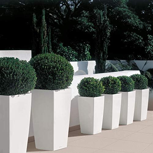 Lechuza CUBICO 30 Shiny Taupe High Gloss, Self-Watering Tall Planter, H22 L11.8 W11.8 in - Image 6