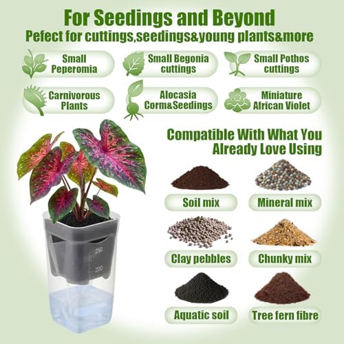LemonRoad 20 Pack 2.5" Small Self Watering Pots for Indoor Plants - Image 5