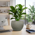 10.2"Dia x 7.8"H Modern Ribbed Plastic Planter Pot with Drainage - Image 7