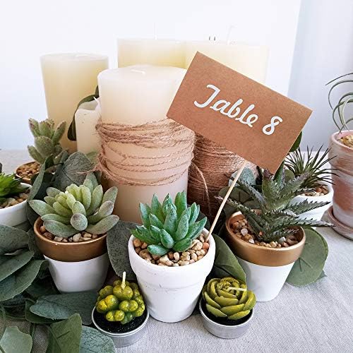 Winlyn 60 Pcs White Terra Cotta Pot - 2.5 Inch Tiny Mini Clay Pots with Drainage Holes Flower Nursery Terra Cotta Pots for Succulent Plants, Crafts, Wedding Baby Shower Favor - Image 6