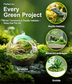 Live Moss – Plagiomnium Moss (3 Sheets, Each Approx. 3.5"x7") for Terrariums, Moss Balls, Bonsai & Natural Plant Decor – Naturally Grown, Reusable, Not Artificial - Image 6