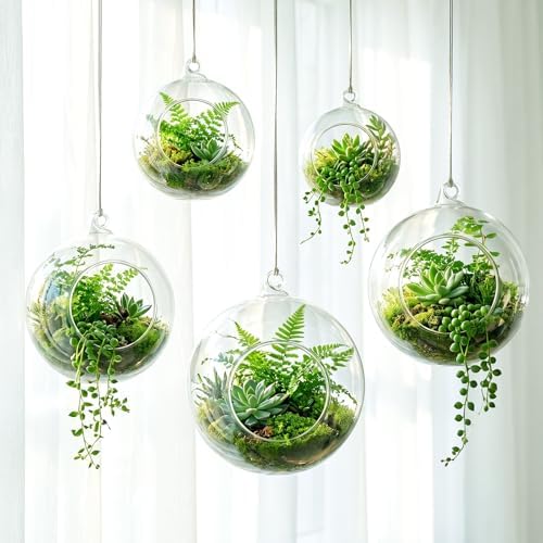SiliFine 5 Pack Varied Sizes Hanging Glass Terrarium Planter 2.36" to 5.91" by SiliFine