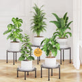 LASZOLA Small Plant Pot Stand Indoor Outdoor with Saucers Trays, 5Pcs Metal by LASZOLA