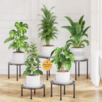 LASZOLA Small Plant Pot Stand Indoor Outdoor with Saucers Trays, 5Pcs Metal by LASZOLA
