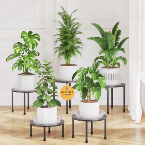 LASZOLA Small Plant Pot Stand Indoor Outdoor with Saucers Trays, 5Pcs Metal by LASZOLA