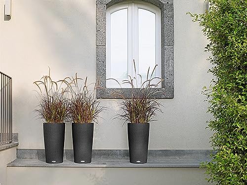 Lechuza CILINDRO Cottage 23 Granite, Self-Watering Tall Planter, D9.1 H16.1 in - Image 6