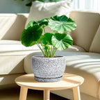 SQOWL 8 inch Plant Pot - Ceramic Planter with Drainage Hole and Saucer, Round Flower Pot for Indoor Plants, Decorative Planter Outdoor, Patio Balcony Decor, House Warming Gifts, Black and White - Image 2