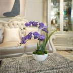 Large Silk Potted Orchid Arrangement in Oval Ribbed Ceramic Pot, Purple - Image 4