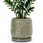 D'vine Dev Embossed Leaves Ceramic Planter, 6 in, Olive, 27-A-X-0 by DvineDevPlanterPotsandStand