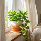 8 Inch Ceramic Plant Pot, Khaki + White - Image 5