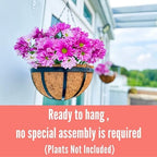 LaLaGreen Yard Hanging Baskets (20 in, 2 Pack) Black Coco Liner Garden Pots - Image 4