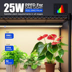 Barrina CX91Z Indoor Greenhouse with Grow Lights 5-Tier 100W 23.6x13.8x59IN - Image 5