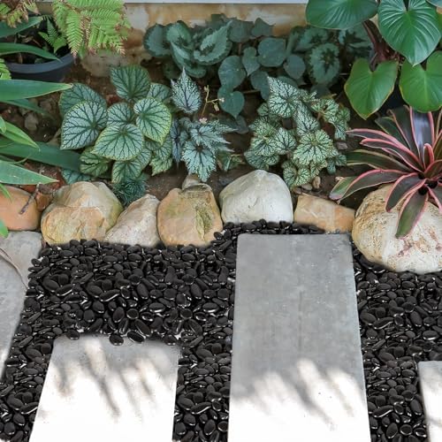 GASPRO 30 Pound River Rocks, Decorative Stones for Walkways, Outdoor Landscaping, Garden, Yard, 1 to 2 Inch, Black Polished Pebbles for Planters, Flower Beds, Vase - Image 6