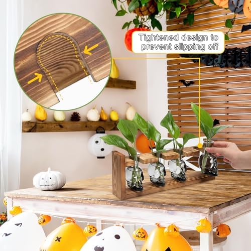 Plant Propagation Stations Halloween Skull Plant Terrarium Kit - Image 2