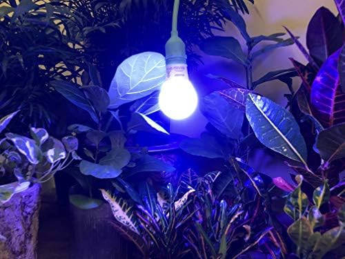 Miracle LED Kitchen Gardener 2-Socket LED Grow Light Bulb Kit with Blue Spectrum Starting Ultra Grow Bulbs Replacing 150W and 3' Fixture (2-Pack - 2 Fixtures, 4 Bulbs), 601878 - Image 3