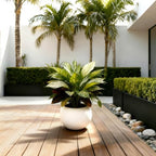 Large Round Planter,Planters for Indoor Plants & Outdoor,Durable Plastic Material Sphere Planter with Drainage Hole & Rubber Plug Weather Resistant,Plant Pot - Image 7