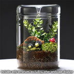 SARUFO Small Glass Plant Terrarium 4.7"X7" Inches Succulent Air Planter Fern Moss Micro-Landscape Vase for Home Garden Office Tabletop Decoration Container with Lid Indoor Wardian Copyright Patent - Image 5