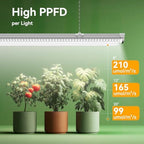 Elaruslux 3FT Plant Grow Light,5000K Full Spectrum White,192W(6 x 32W), LED Grow Light Strips with Timer, Aluminum Reflector, Linkable,Plant Growing Lamp Fixture for Greenhouse Indoor 6pcs - Image 4